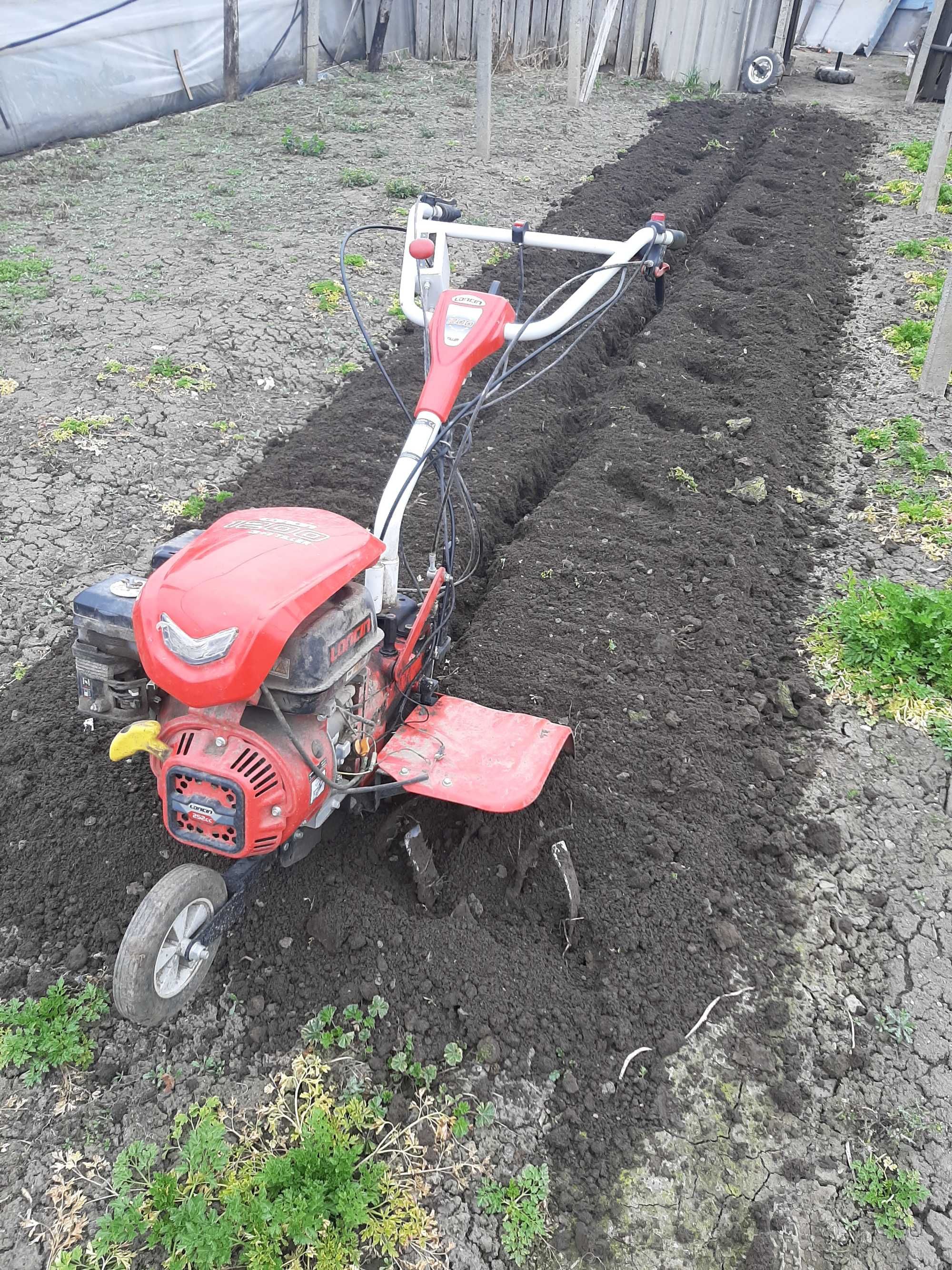 Motosapă ruggerini rs 8,5 si loncin 1200 3 +1