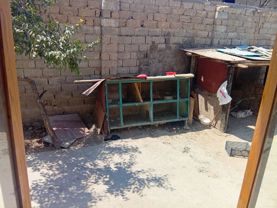 Купон ни сотилади