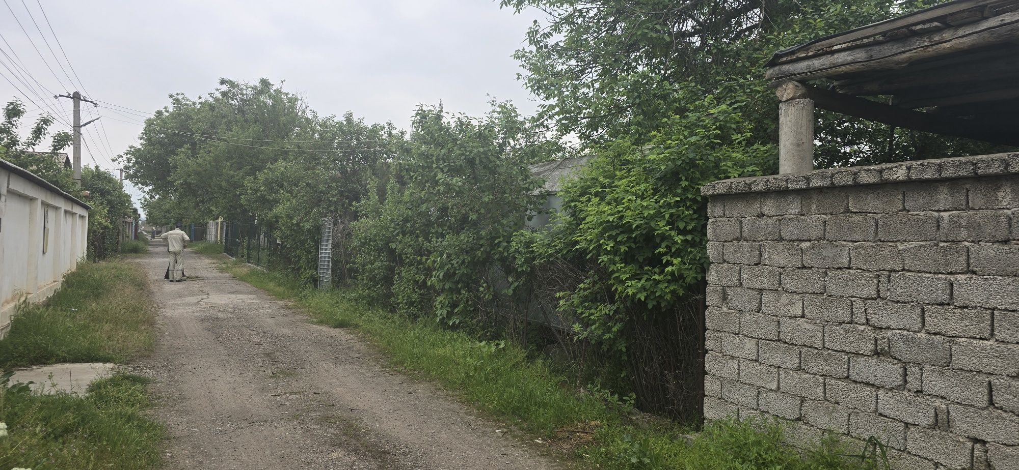 Дача сотилади 6 сотих
