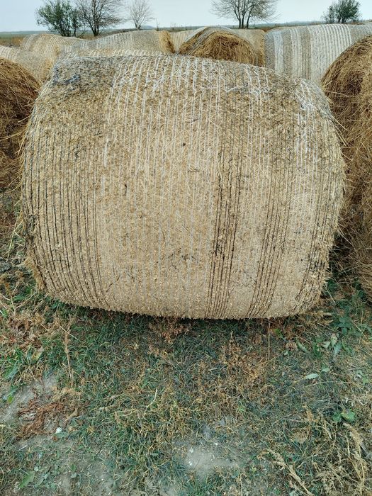 Vand baloti de lucerna