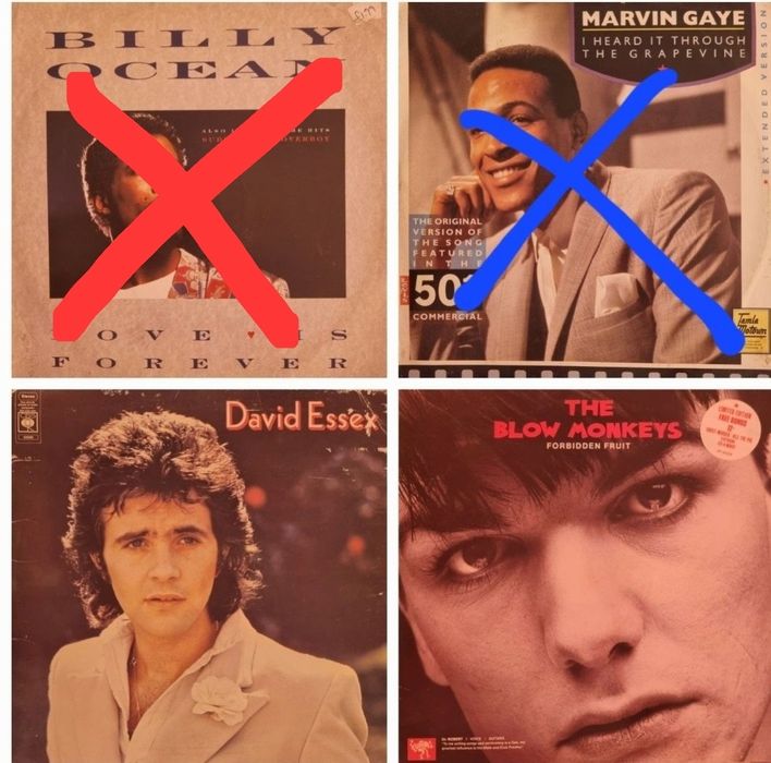 Discuri vinil (vinyl)