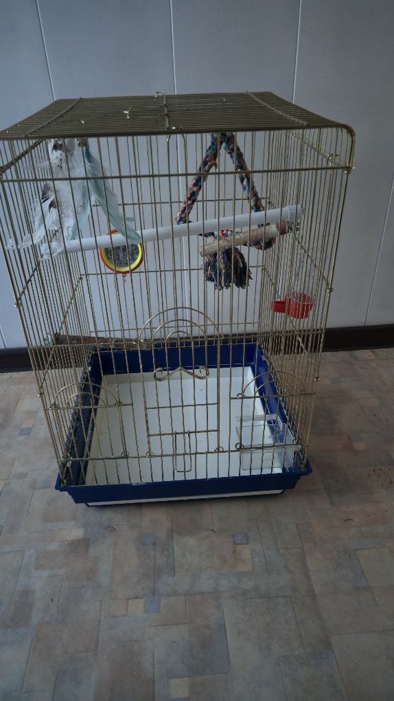 Клетка для попугаев и птиц