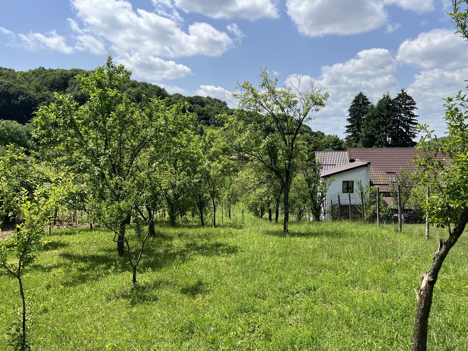 teren de vanzare stefanesti valea mare
