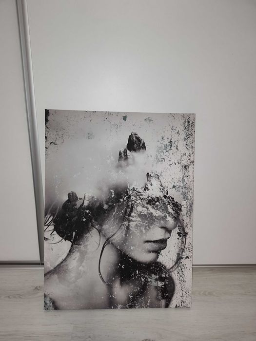 Tablou Canvas abstract dormitor/sufragerie 80x60 cm