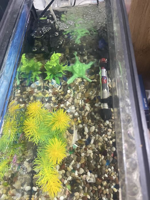 Аквариум с рыбками