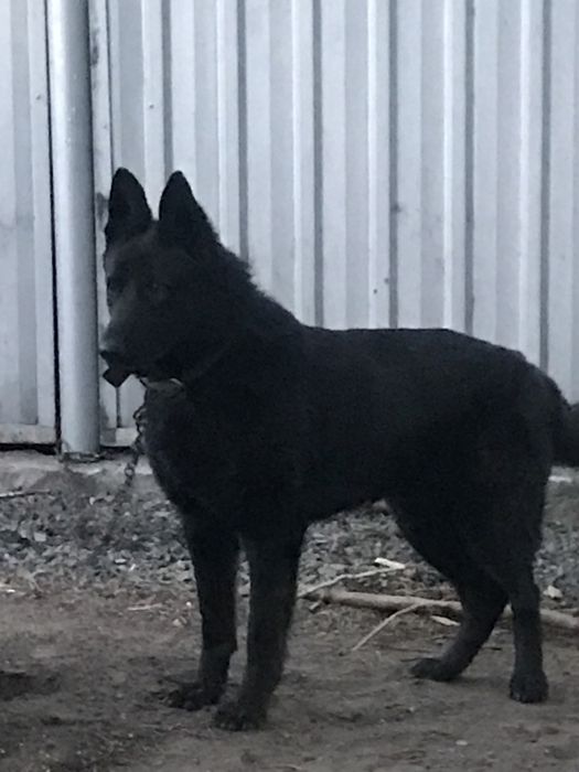 Кабель. Вязка. Ищем девочку для вязки.