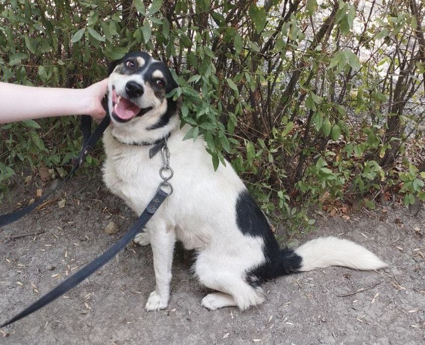 Девочка ищет семью и дом!