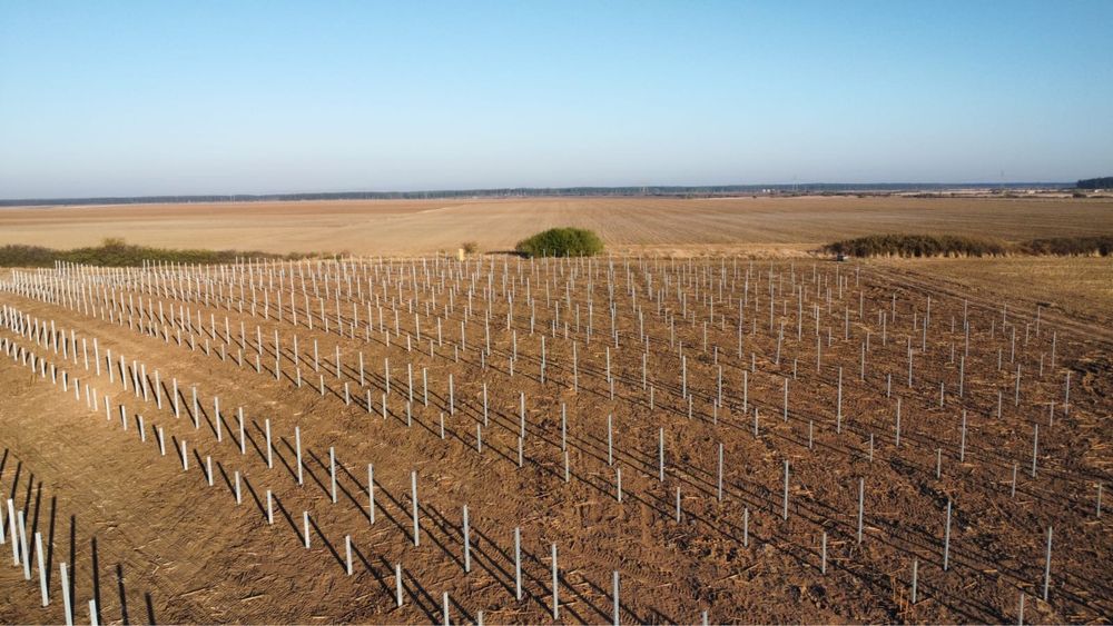 Servicii Sonete, Batipale pentru parcuri fotovoltaice, imprejmuiri