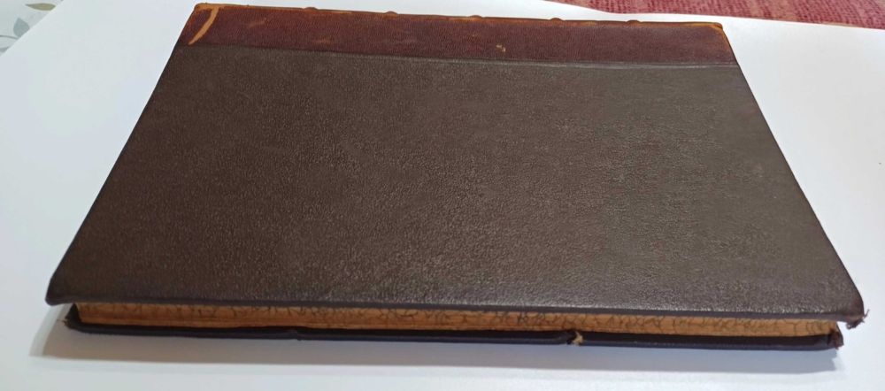 N. Iorga - Rusia și Polonia din 1919