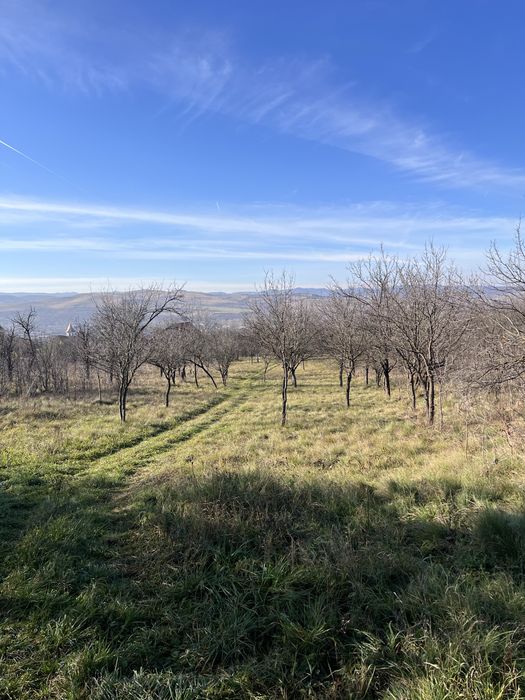 Teren de vânzare în Hunedoara