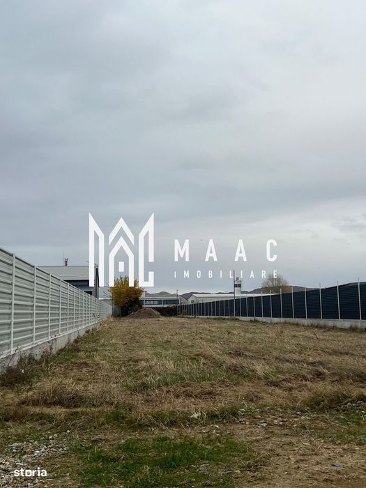 Teren | Budesti | Zona industriala
