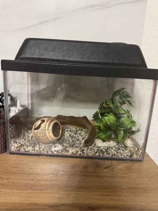 Аквариум 10 л весь набор в подарок ( натуральный грунт, сачок, лампа)