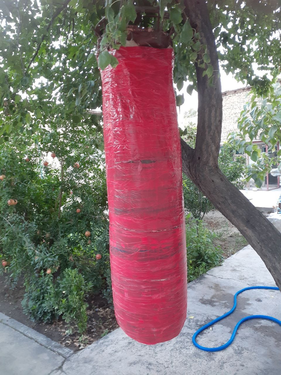 Продаётся груша.