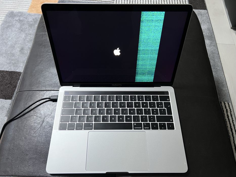 MacBook Pro 13-inch 2019 – Silver – Defect la display