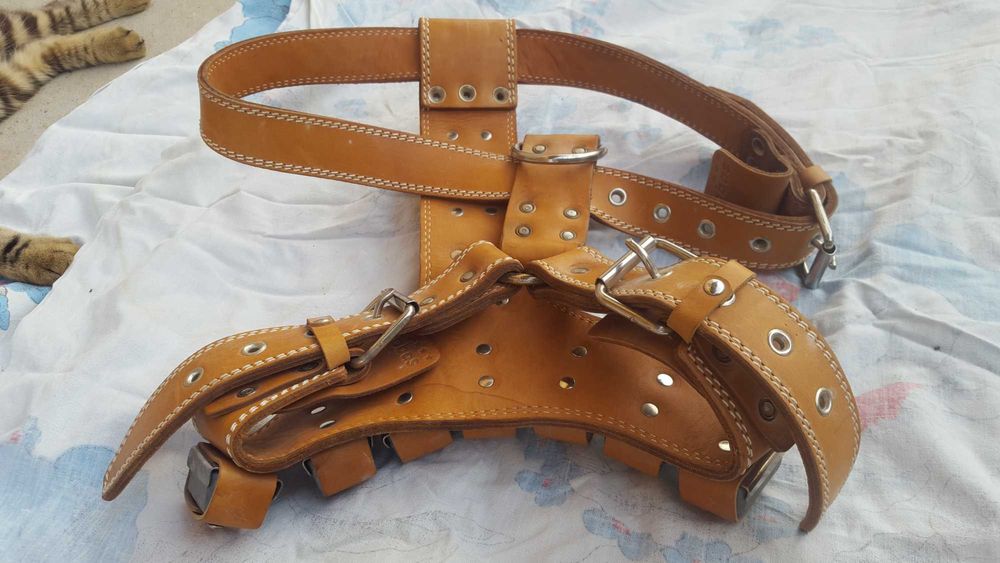 Шлейка и ошейник со съемными утяжелителями