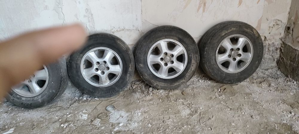 Ипсумның аягы сатылады