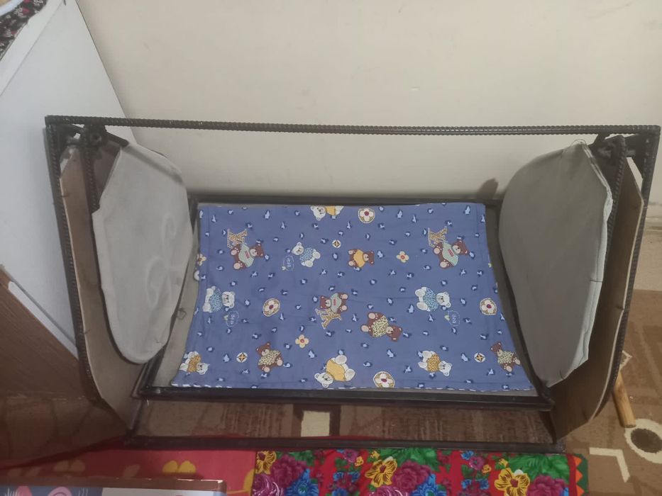 Кочеле Жакси жагдайда