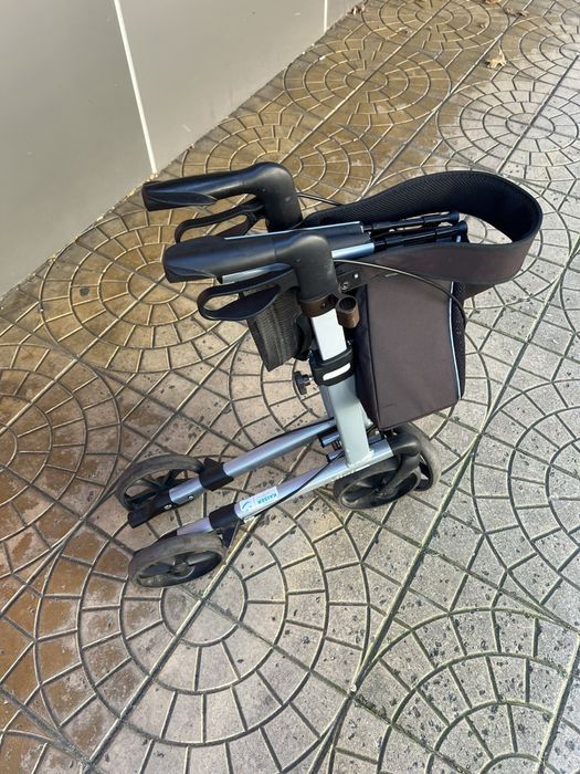 Ролатор проходилка