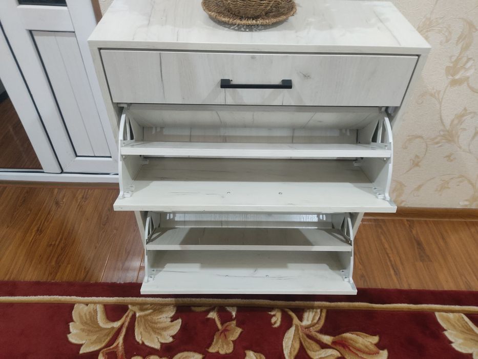 Padobuv yangi turdagi.