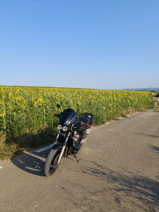 Yamaha fzs 600 fazer