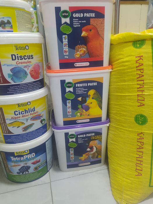 Каптарлар ва барча кушлар учун