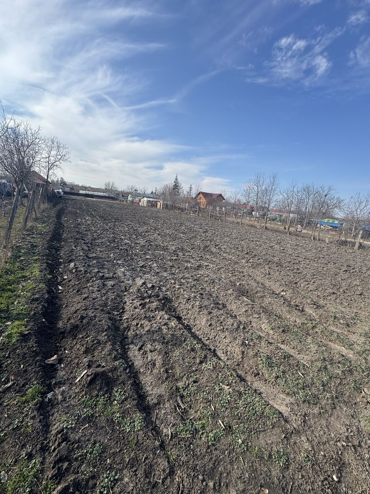 Teren intravilan (loc de casa) Calomfiresti