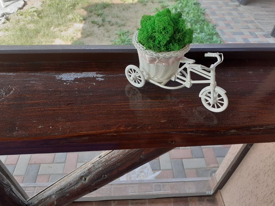 Ornamente cu lichieni