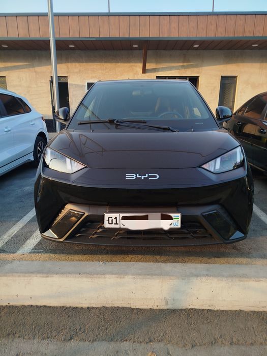 BYD SEAGULL 2024 yil