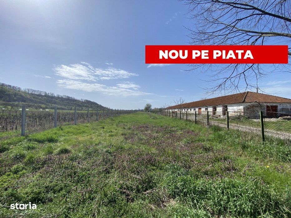 Teren intravilan cu grajduri si anexe – Aninoasa AG