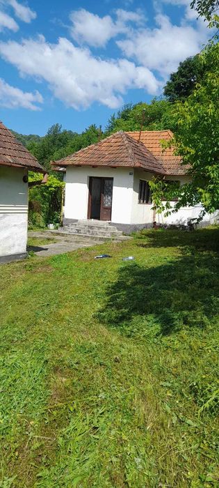 Vind casa si gradina