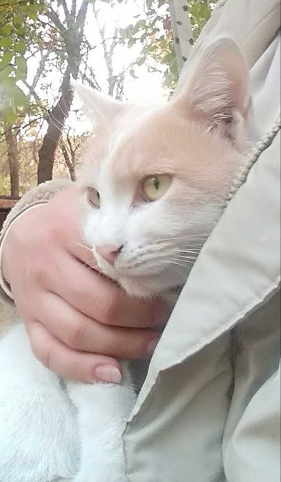 Красивый умный и грациозный мальчик