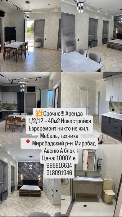 Аренда 1комнатная Центр Гламур