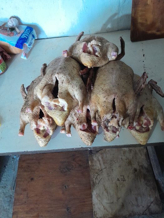 Копченные мяса индюков, утки, цесарки