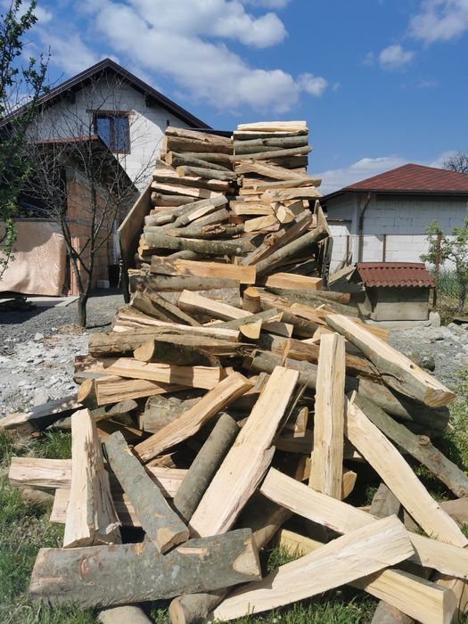 Lemne de foc de esență tare de vânzare