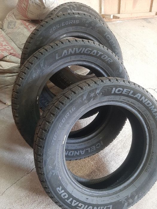 Қысты донгелектер