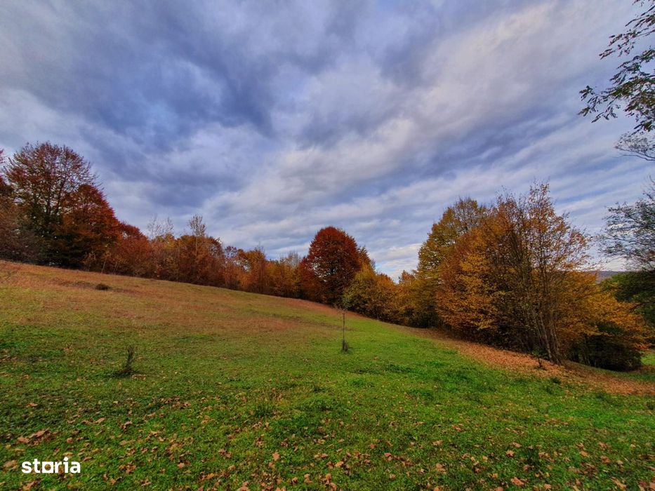 Puciosa Moreni Valea Lunga Sat Izvoru 20000mp teren de vanzare