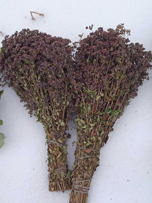 Ароматные траны для бани. Душица