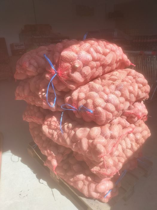 Cartofi de vanzare consum si pentru animale