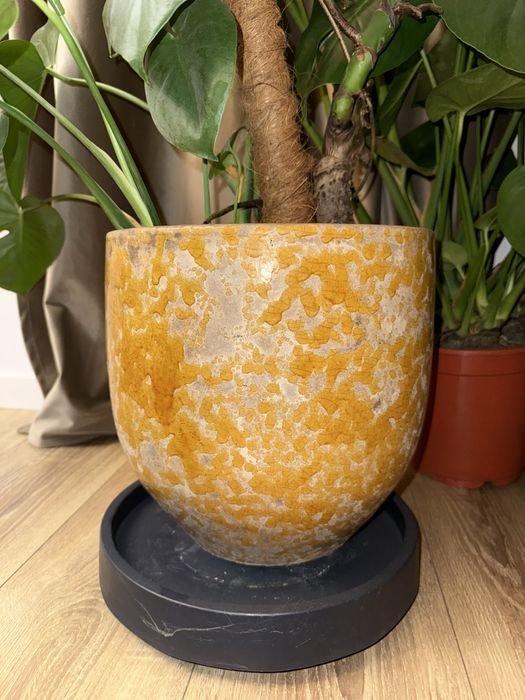 Vand 5 ghivece ceramica de interior