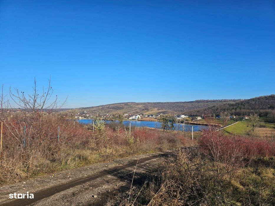 592 mp Sorogari Aroneanu pe malul lacului Dorobanti cu Puz utilitati