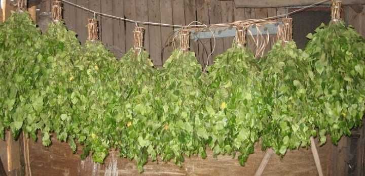 Веники берёзовые,,веники для бани,веники