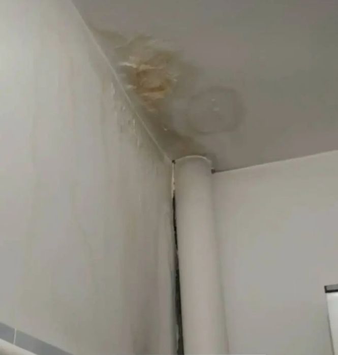 Удаление  пятен на потолке 100% гарантия