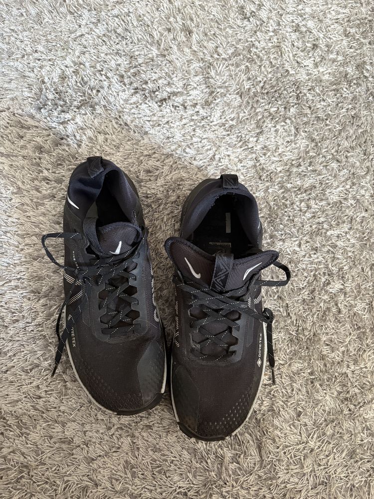 Nike Pegasus Trail 4 Gore-Tex Trainers