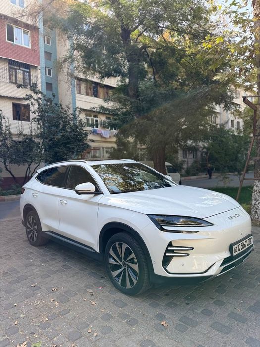 2024 byd chenpiyon  toza 605