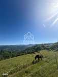 Teren intravilan de vanzare – 11.136 mp | ALBAC |