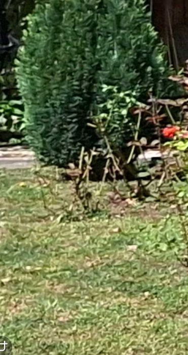 Квартира гр. Перник, Център