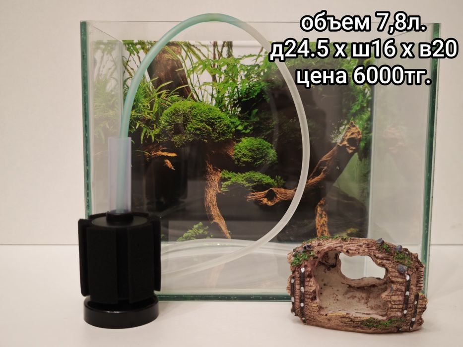 Аквариум продажа