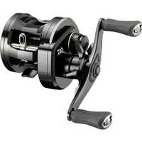 Mulineta Daiwa Ryoga