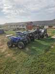 Atv 250 4 viteze inversor