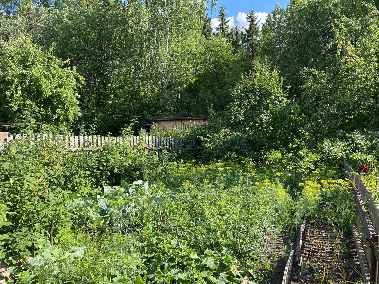 Продам дом в экологически чистом районе